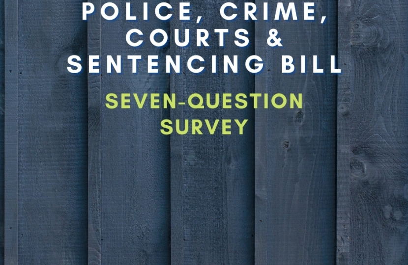 Police, Crime, Sentencing & Courts Bill