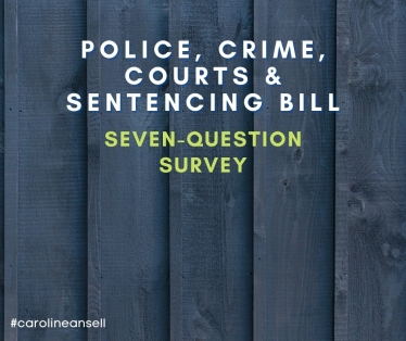 Police, Crime, Sentencing & Courts Bill