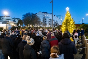 Tree of Light